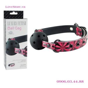 Dụng cụ bịt miệng BDSM