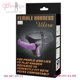 Hộp đựng dương vật giả 2 đầu có dây đeo DV21