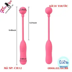 Chày rung kích thích điểm G cho cặp đôi vợ chồng 10