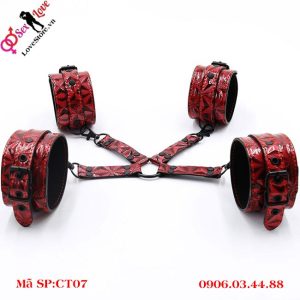Bộ còng tay chân chữ X
