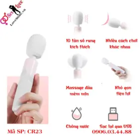 Chày rung mini AV Roselex đầu 4cm 8