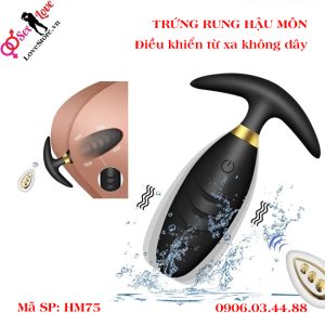 Trứng rung hậu môn điều khiển từ xa không dây 10 tần số cho nam, nữ HM75