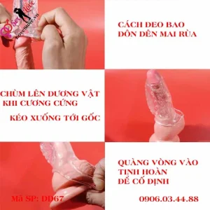 Cách đeo bao đôn dên mai rùa