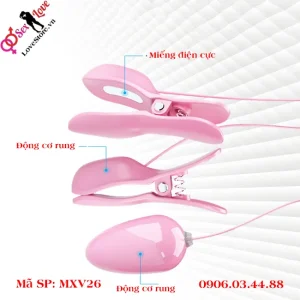 Thiết kế độc đáo nhỏ gọn tiện mang theo người