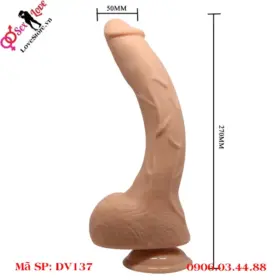 Kích thước lớn và dài